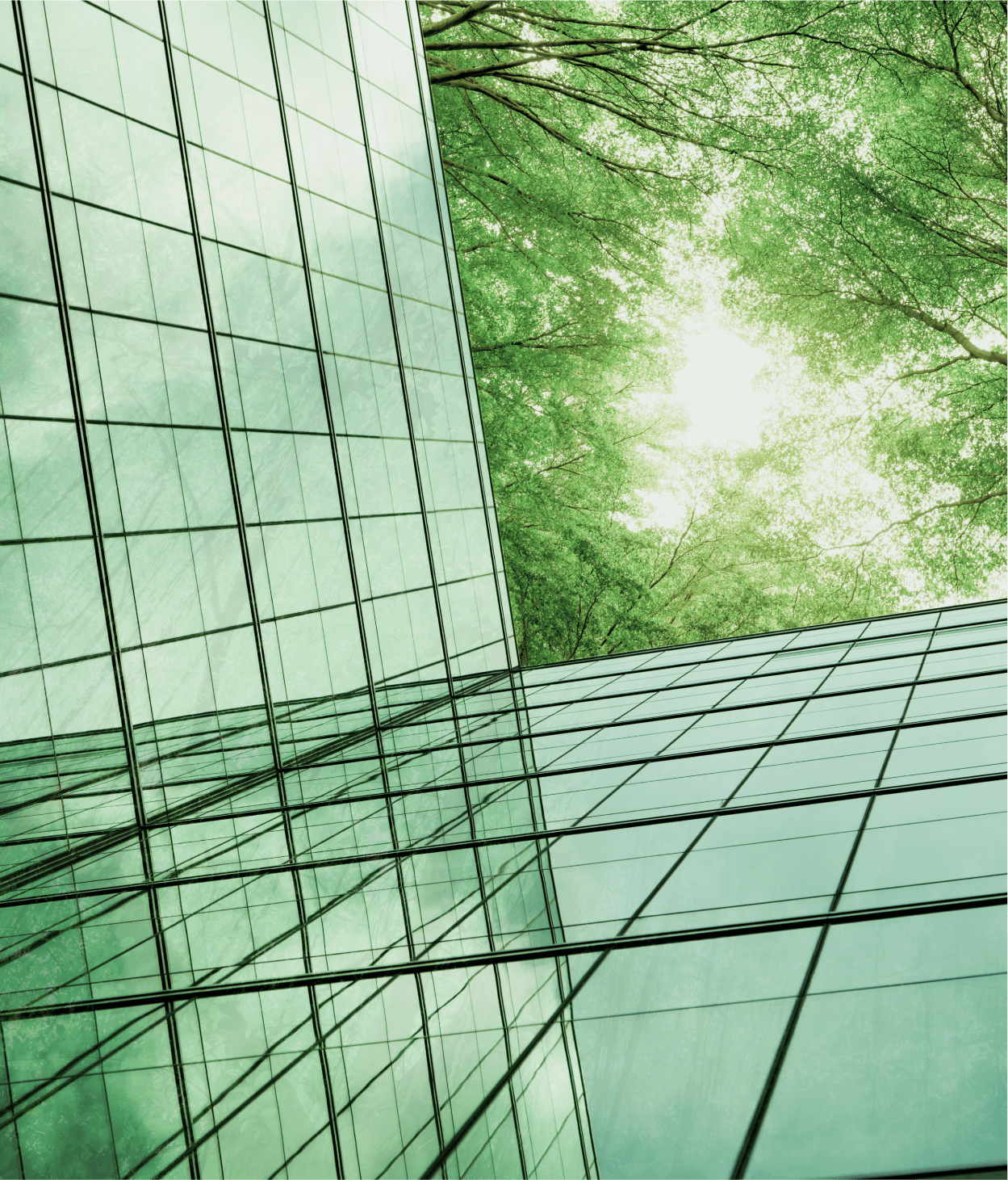 Glass building reflecting green trees representing sustainable growth