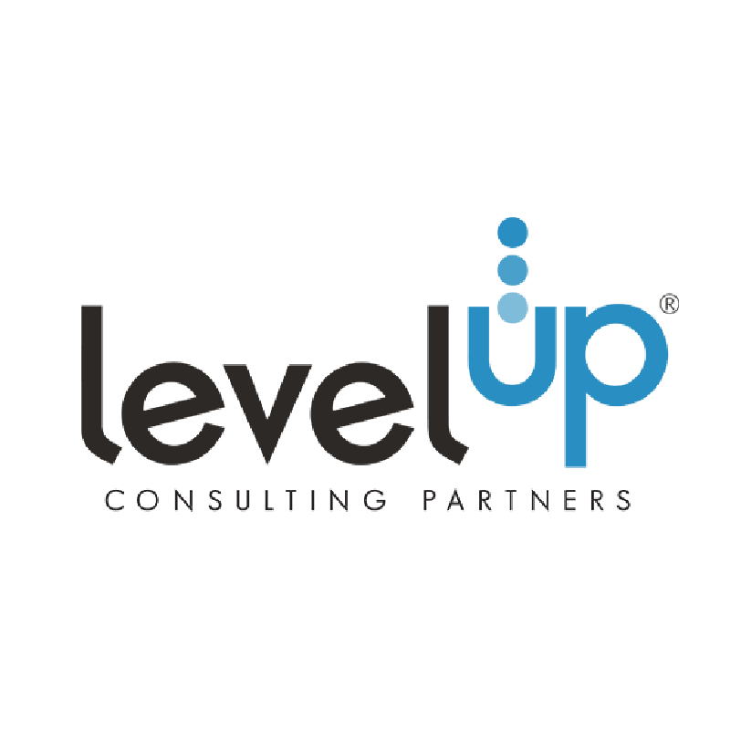 level up consulting partners logo